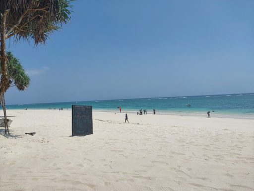 Diani Beach Galu 12