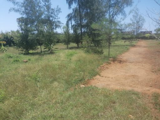 Beautiful building plots Diani Beach Diani Beach Galu 19