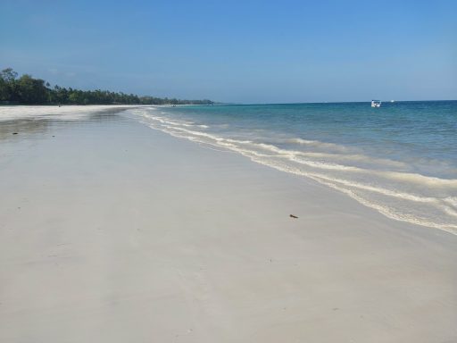 Diani Beach Galu 6