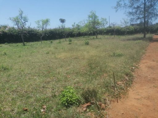 Diani Beach Galu 17 Beautiful building plots Diani Beach