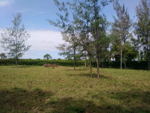 Investment Galu Property Kenya 4