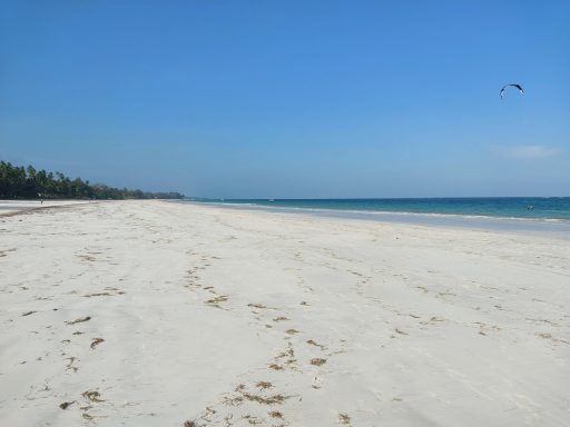 Diani Beach Galu 8