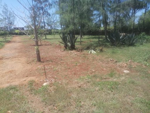 Diani Beach Galu 18 Beautiful building plots Diani Beach