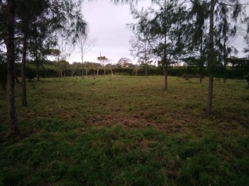 Investment Galu Property Kenya 3