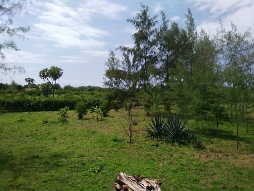 Investment Galu Property Kenya 2