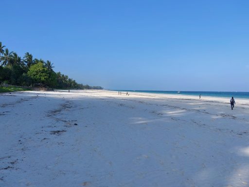 Diani Beach Galu 13